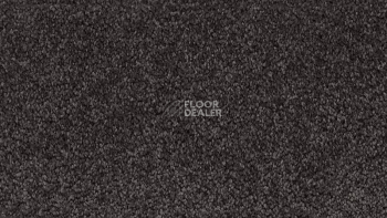 Ковролин Vorwerk Passion 1001 Vorwerk 9e00 фото 1 | FLOORDEALER