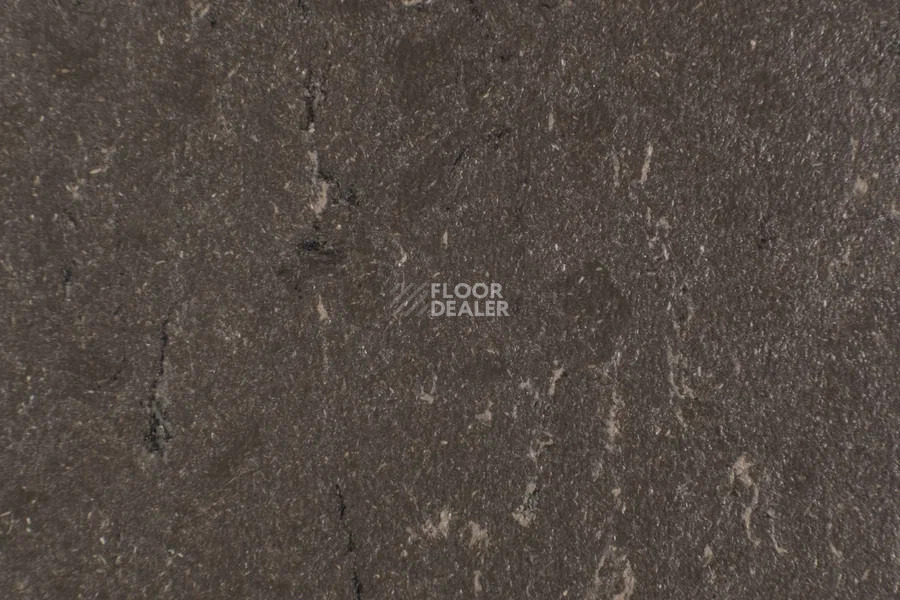 Forbo Marmoleum Solid Piano 3632- 363235 sealion фото 2 | FLOORDEALER