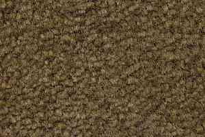 Ковролин Emphatic Beaulieu of America 56350 фото  | FLOORDEALER