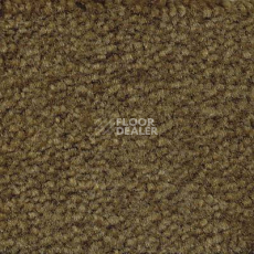 Ковролин Emphatic Beaulieu of America 56350 фото 1 | FLOORDEALER