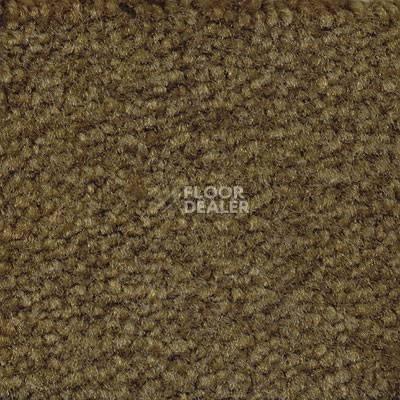 Ковролин Emphatic Beaulieu of America 56350 фото 1 | FLOORDEALER