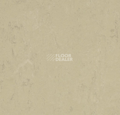 Линолеум Forbo Marmoleum Solid Concrete 3761 Titan фото 1 | FLOORDEALER