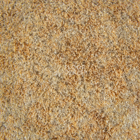 Forbo Flotex Colour Calgary 50*50 t 590006 Calgary Sahara фото 2 | FLOORDEALER