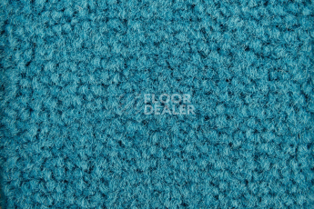 Balsan Les Best S 170 фото 2 | FLOORDEALER
