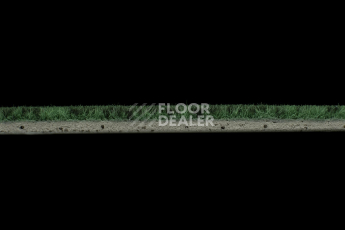 Forbo Flotex Colour s 246022 Metro Evergreen фото 3 | FLOORDEALER