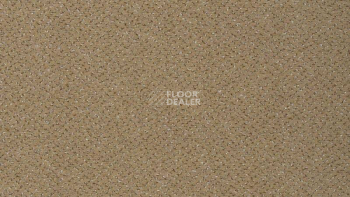 Ковролин Vorwerk Passion 1006 Vorwerk 8j12 фото 1 | FLOORDEALER