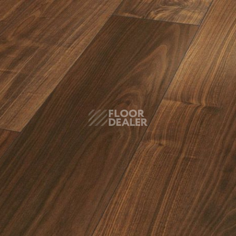 Ламинат Parador Basic Plus 200 V 1593999 Орех Basic 200 фото 1 | FLOORDEALER