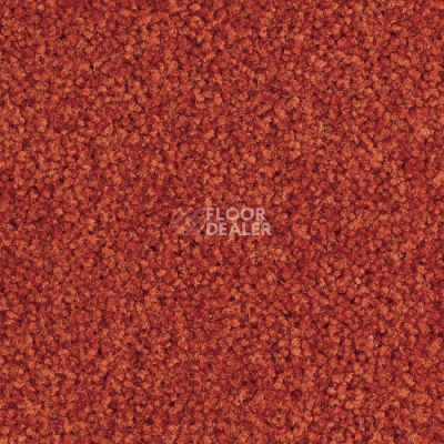 Ковролин Balsan Bolero 485 фото 1 | FLOORDEALER