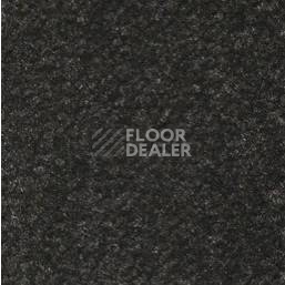 Ковролин Emphatic Beaulieu of America 56545 фото 1 | FLOORDEALER