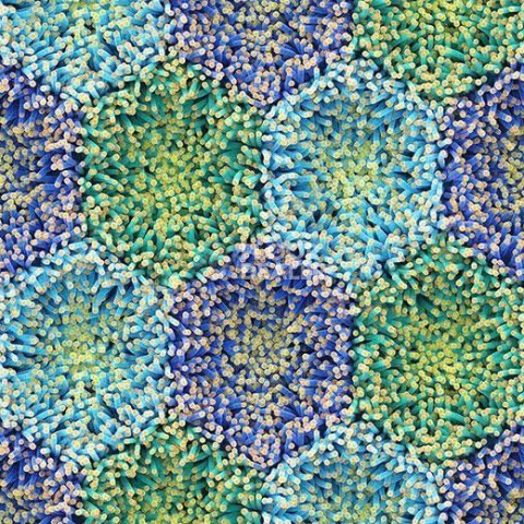 Ковролин Forbo Flotex by Mac Stopa 360001 f Blue Anemone фото 1 | FLOORDEALER