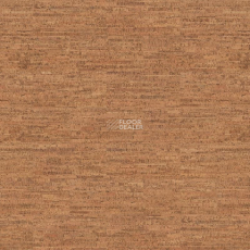 Cork Go C8D2001   Blase фото 1 | FLOORDEALER