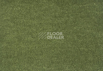 Ковролин Lano Dream 591 Moos 1 фото 1 | FLOORDEALER