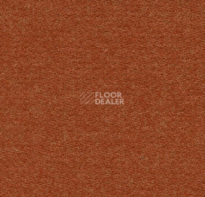Ковролин Forbo Flotex wonderlab 07 900276 Terracotta фото 1 | FLOORDEALER