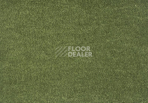 Ковролин Lano Dream 591 Moos 1 фото 1 | FLOORDEALER