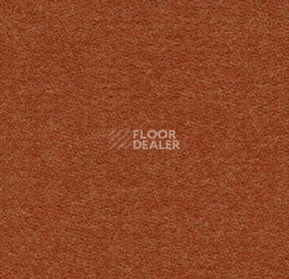 Ковролин Forbo Flotex wonderlab 07 900276 Terracotta фото 1 | FLOORDEALER