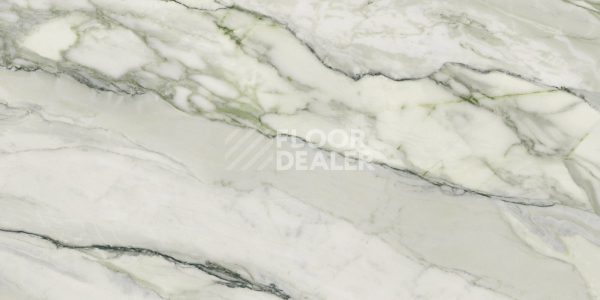 Керамогранит Arabescato 60X120 Green Matt Rect 60X120 фото 1 | FLOORDEALER