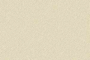 Ковролин Agnella Natural Koni Cream фото  | FLOORDEALER