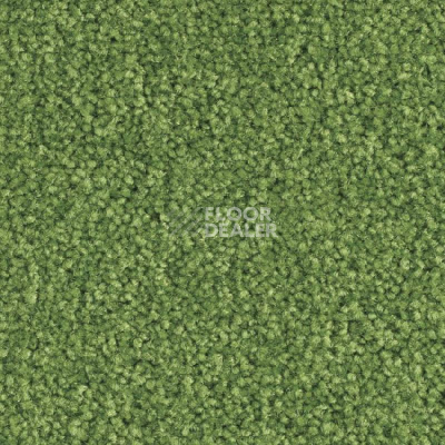 Ковролин Balsan Scenario 244 фото 1 | FLOORDEALER