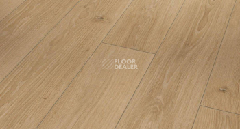 Ламинат Parador Classic 1050 4V 1601445 Дуб Студийный Натуральный фото 1 | FLOORDEALER