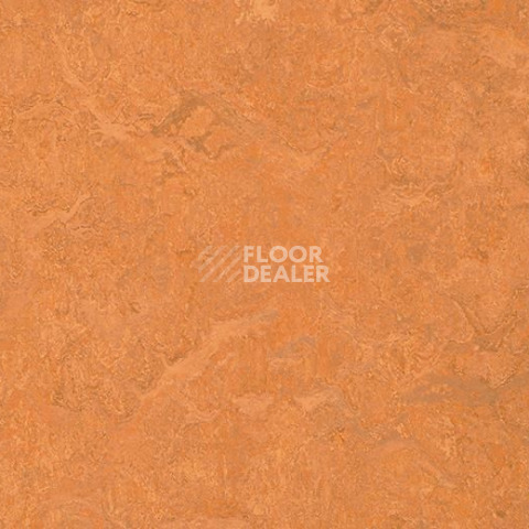 Forbo Marmoleum Sport 83176 фото 1 | FLOORDEALER