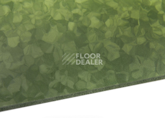 Tarkett iq Melodia 2639 фото 5 | FLOORDEALER