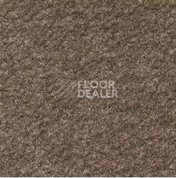 Ковролин Emphatic Beaulieu of America 56726 фото 1 | FLOORDEALER