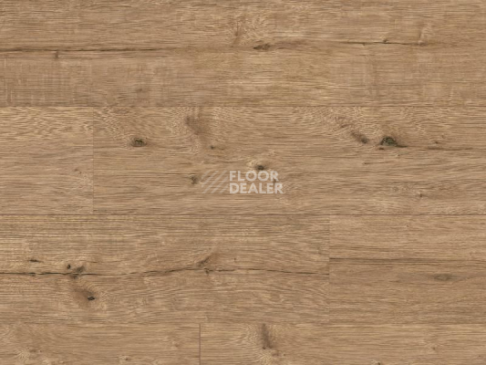 Ламинат Classen Arteo 8XL WR 55085 Adler Oak /8XL фото 1 | FLOORDEALER
