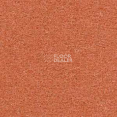 Ковролин Radici Montecarlo 57 фото 1 | FLOORDEALER