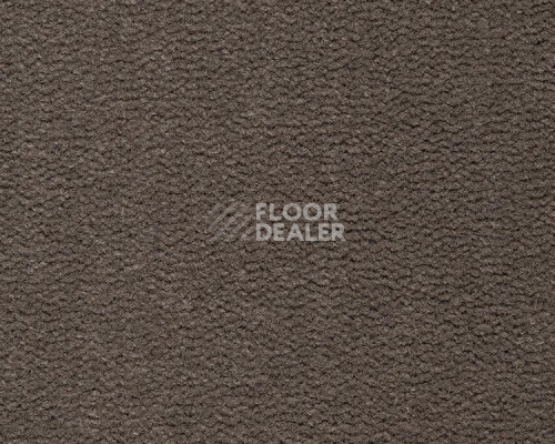 Ковролин Best Wool Pure Tasman 169 фото 1 | FLOORDEALER