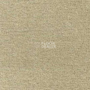 Ковролин Radici Maratea 3683 фото 1 | FLOORDEALER