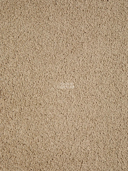 Ковролин Haima Noble 41 фото 1 | FLOORDEALER