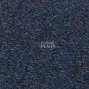 Ковролин Besmer Riga 553 фото 1 | FLOORDEALER