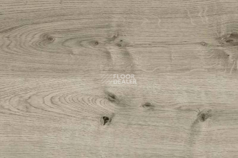 Пробковое покрытие Wood OAK GREY фото 1 | FLOORDEALER