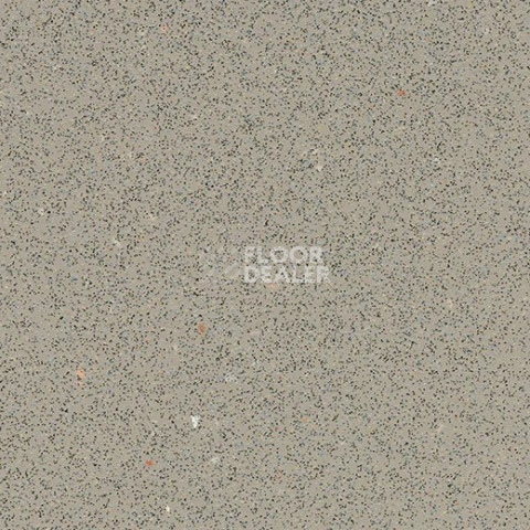 Линолеум Forbo SafeStep R12 175872 fossil фото 1 | FLOORDEALER