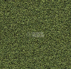 Грязезащитные покрытия Forbo Coral в плитке 2608 Fresh Grass фото 1 | FLOORDEALER