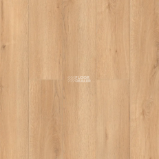 Alpine Floor Intensity 12мм LF101-24 Дуб Виченца фото 1 | FLOORDEALER