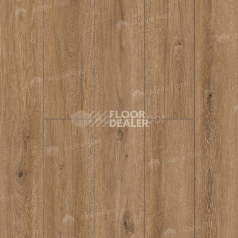 Classen Arteo 8 M 62754 Дуб Катам фото 3 | FLOORDEALER
