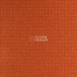 Ковролин Balsan Territoires Atrium 451 фото 1 | FLOORDEALER