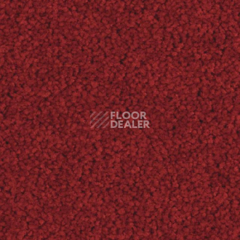 Ковролин Balsan Serenite 570 фото 1 | FLOORDEALER