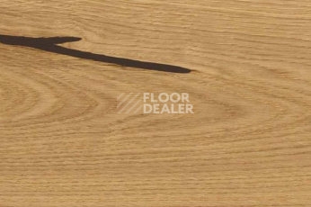 Пробковое покрытие Wood Xl Oak  Accent фото 1 | FLOORDEALER