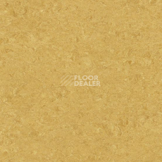Линолеум Gerflor Marmorette DLW  2mm 0072 Golden Yellow фото 1 | FLOORDEALER