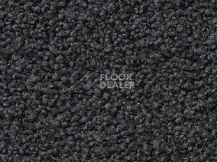 Ковролин Vorwerk Exclusive1009/Elara 9e05 фото 1 | FLOORDEALER