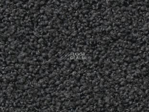 Ковролин Vorwerk Exclusive1009/Elara 9e05 фото 1 | FLOORDEALER