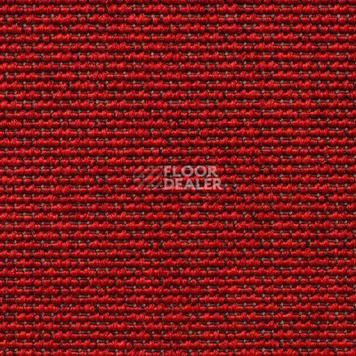 Ковролин Carpet Concept Eco Iqu 10065 фото 1 | FLOORDEALER