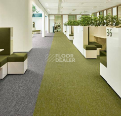 Forbo Flotex Colour s 445027 Canyon Kelp фото 2 | FLOORDEALER