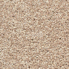 Ковровая плитка Forbo Sharepoint 1192 фото 1 | FLOORDEALER