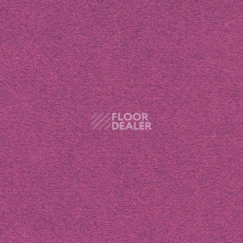 Ковролин Finett Feinwerk 753502 фото 1 | FLOORDEALER