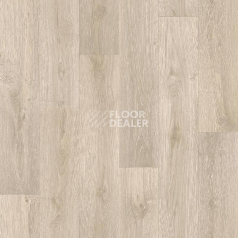 Линолеум Tarkett Evolution Albus 3 фото 1 | FLOORDEALER