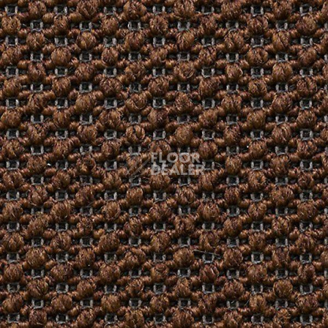 Ковролин Carpet Concept Eco Tre 68154 фото 1 | FLOORDEALER