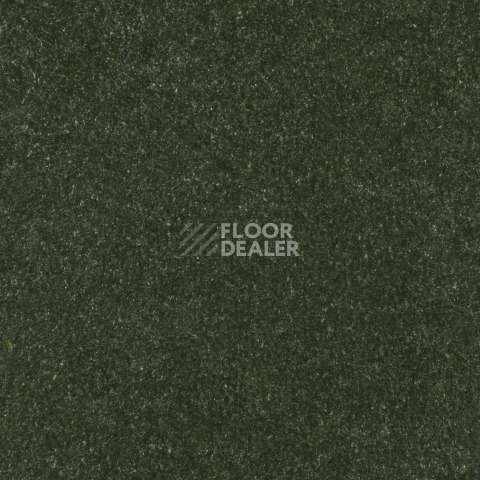 Линолеум Forbo Marmoleum Solid Walton 3359-335935 bottle green фото 1 | FLOORDEALER